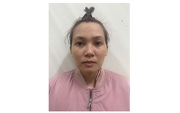 Nhập vai Việt Kiều giàu có, lừa đảo chiếm đoạt hàng trăm triệu đồng