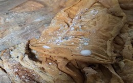 Kinh hãi, gần 2 tấn lòng lợn nấm mốc không rõ nguồn gốc xếp trong sân nhà dân