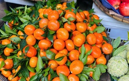 Một loại quả giúp tăng sức đề kháng đang vào mùa, bán đầy chợ Việt giá chỉ bằng cốc trà sữa