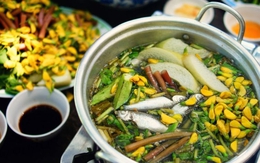 Loài hoa giàu chất chống oxy hóa, chế biến thành nhiều món ngon