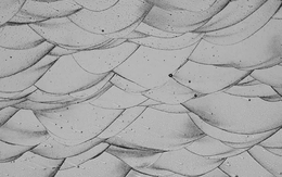 Phát minh phá vỡ truyền thống về "ma trận nhôm" có thể rung chuyển ngành công nghiệp ô tô toàn cầu