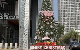 Hà Nội khoác "áo mới", không khí Giáng sinh 2025 rộn ràng trên từng góc phố