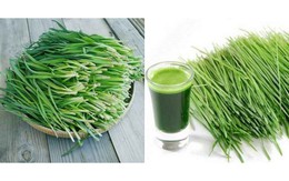 Ho có đờm uống gì cho dễ chịu cổ họng, giảm ho nhanh?
