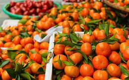 Tiểu thương bật mí bí kíp chọn cam canh chuẩn hàng Việt, nhìn đặc điểm này là biết ngay