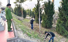 Rú ga gây náo loạn, gần 30 thanh thiếu niên ở Lào Cai nhận 'bài học nhớ đời'