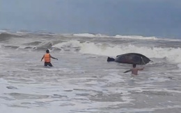 Lật thuyền, hai ngư dân rơi xuống biển