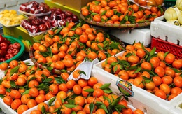 Tiểu thương 'tiết lộ' nguồn gốc thực sự của một loại cam đang bán tràn ngập chợ Việt