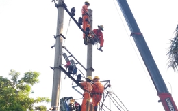 Lịch cúp điện Vĩnh Long tuần này (từ 22 – 28/12/2025): Số lượng khu dân cứ mất điện từ sáng sớm đến chiều tối tăng cao