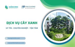 Hoàng Minh LS & Phú Cường – Đồng hành cùng phát triển đô thị xanh