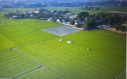 Tin sáng 24/12: Hoàn thiện cơ sở dữ liệu đất đai vào năm 2026, chấm dứt thời kỳ quản lý trên giấy; Từ đêm 24/12, Bắc Bộ chuyển rét, có nơi dưới 8 độ