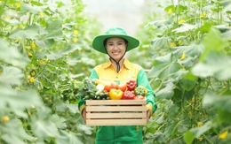 Hành trình rau sạch WinEco: Từ nông trường đến bàn ăn Việt