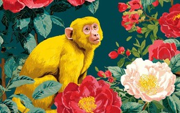 Tử vi 12 con giáp năm Bính Ngọ: Tổng quan tuổi Thân năm 2026