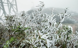 Miền Bắc còn rét đậm, băng giá?