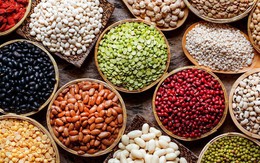 Bị sốt xuất huyết kiêng ăn gì?