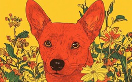 Tử vi 12 con giáp năm Bính Ngọ: Tổng quan vận mệnh tuổi Tuất 2026