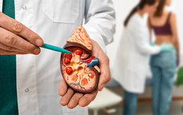 Tại sao ngày càng nhiều người suy thận?: 'Sát thủ' hủy diệt thận đang ở trên mâm cơm hàng ngày