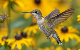 Ai sinh vào ngày sinh Âm lịch này, cuộc đời gắn liền với hai chữ 'phú quý'