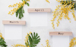 Những tháng sinh có thể giúp chủ nhân dễ leo lên vị trí CEO