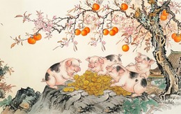 Cách hóa giải vận hạn cho tuổi Hợi năm 2026: Bình tâm vượt hạn, tích phúc đổi vận