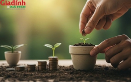 Càng sống đơn giản, tiền lại càng dễ tìm tới: Không phải mê tín, mà là 'quy luật'