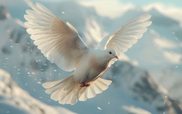 Ngày sinh Âm lịch báo hiệu phúc lành: Dù vất vả đến đâu, sau 35 tuổi cũng chạm ngõ bình yên