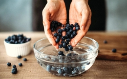 Mẹo bảo quản việt quất tươi lâu, ngừa nấm mốc