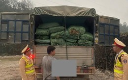 Phát hiện xe tải vận chuyển hơn 5,7 tấn nguyên liệu thuốc lá không rõ nguồn gốc