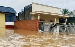 Lũ lên nhanh khiến hơn 1.700 căn nhà ở Lâm Đồng bị ngập, có nơi đến 2,5m