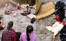 Triệt phá xới đá gà, bắt giữ 12 đối tượng