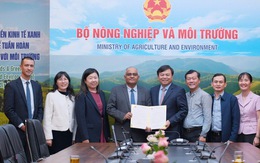 ADB viện trợ 2 triệu USD giúp Việt Nam khắc phục hậu quả mưa lũ miền Trung