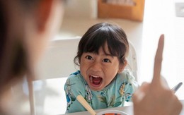 Những đứa trẻ thường xuyên bị la mắng có những thay đổi đáng kinh ngạc về chỉ số thông minh 