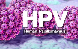 HPV có gây ung thư dương vật không?