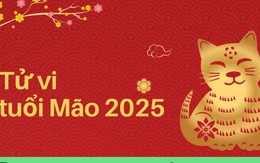 Dự báo vận khí con giáp tuổi Mão năm 2025 Ất Tỵ - năm đầu tiên của Tam Tai theo từng tháng, từng tuổi