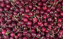 Cherry rẻ không ngờ bán khắp nơi, giá chỉ 120 -130 nghìn đồng/kg