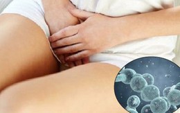 Nhiễm nấm Candida có gây vô sinh không?