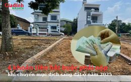 4 khoản tiền bắt buộc phải nộp khi chuyển mục đích sang đất ở năm 2025