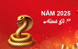 Năm 2025 mệnh gì, hợp với tuổi nào, đâu là màu sắc mang lại may mắn?