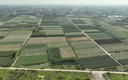 Những trường hợp này sẽ không được cấp sổ đỏ năm 2025 theo quy định mới nhất của Luật Đất đai