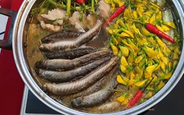 Top những món ngon cho ngày nghỉ lễ