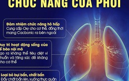 18 lợi ích của việc đi bộ 30 phút mỗi ngày