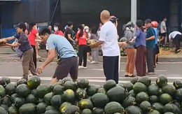 VIDEO: Người dân xếp hàng thu gom, 'giải cứu' dưa hấu khi xe tải gặp nạn