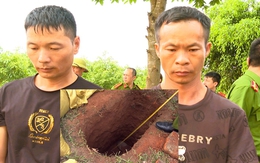 Xử lý nghiêm hành vi xâm hại lăng mộ vua Lê Túc Tông