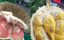 Loại sầu riêng mới giá lên tới gần 800.000 đồng/kg gây sốt