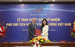 Lãnh đạo cấp cao T&T Group làm Phó Chủ tịch Hiệp hội Năng lượng Việt Nam