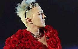 Fan sôi sục tìm thông tin giá vé show G-Dragon ở Việt Nam