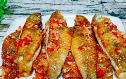 Các món ngon từ cá mó ăn ngon tròn vị, dễ làm tại nhà