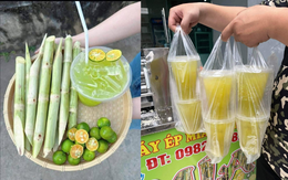 Vì sao người bán nước mía lại hay cho quất vào ép cùng?