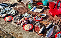 Mẹ mù chữ, bán cá ở chợ, nhưng dạy tôi những bài học vô giá
