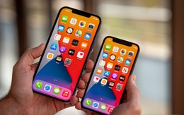Giá iPhone 12, iPhone 12 Pro Max mới nhất giảm giá sốc, rẻ không ngờ, xịn chẳng kém iPhone 16, xứng danh 'vua màn OLED' về giá