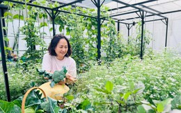 Người phụ nữ ở Sơn La biến khu đất 200m2 ngập rác thành vườn sum sê rau trái